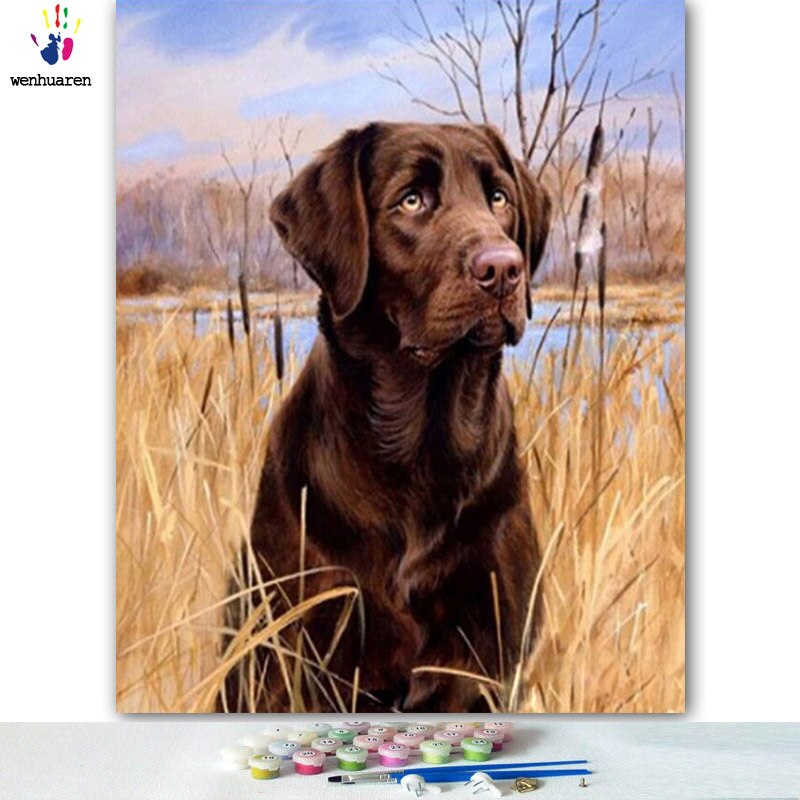 Gör-det-själv-färger bilder efter siffror med färger svart söt hund bild teckning målning av siffror inramade hem: 5970 / 50 x 60cm på ram