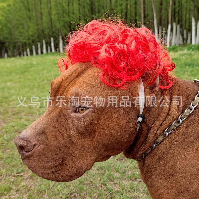 Dogs Cats Headdress Funny Pet Wigs Bangs Exploding Head Braids Straight Hair Nylon Fibre Material Halloween Pet Accessories: green