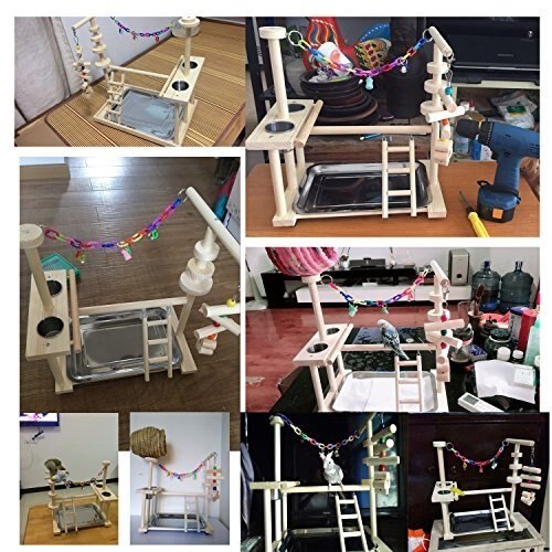 Soporte de juego para loros, parque de juegos para aves, cacatúa, parque infantil de madera, corralito de gimnasio, escalera con alimentador, tazas de juguete (incluye bandeja)