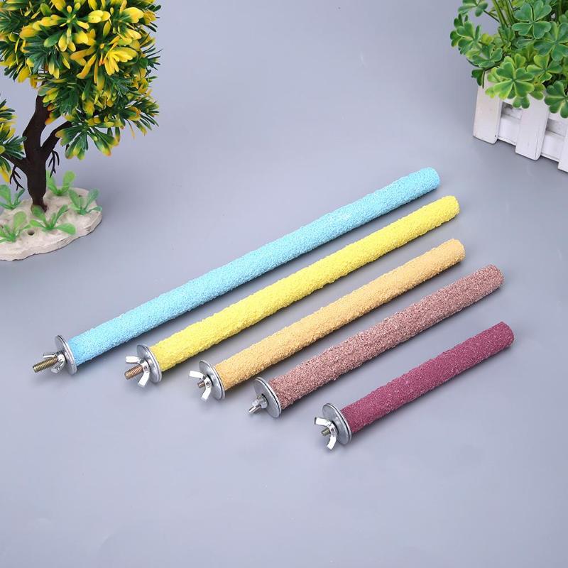 View of Colorful Pet Bird Cage Perches Stand Platform Paw ... – Vicedeal