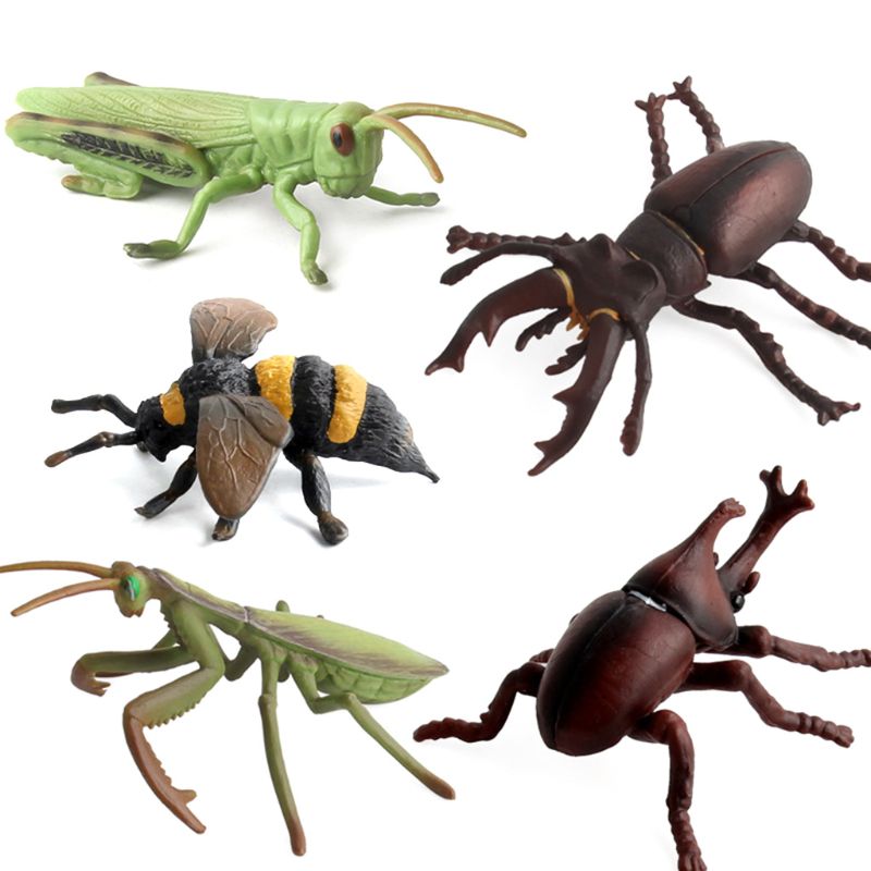 12 st/lot insektsmodeller figurer kognitiva djurleksaker för barn leksaker för tidig utbildning 72xc