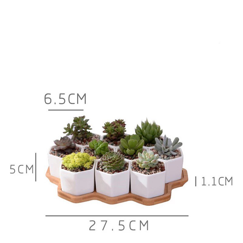 Hvid porcelæn sukkulenter potte grønne planter urtepotte med bambus bakke kontor bordplade planter kortfattet vase boligindretning: R