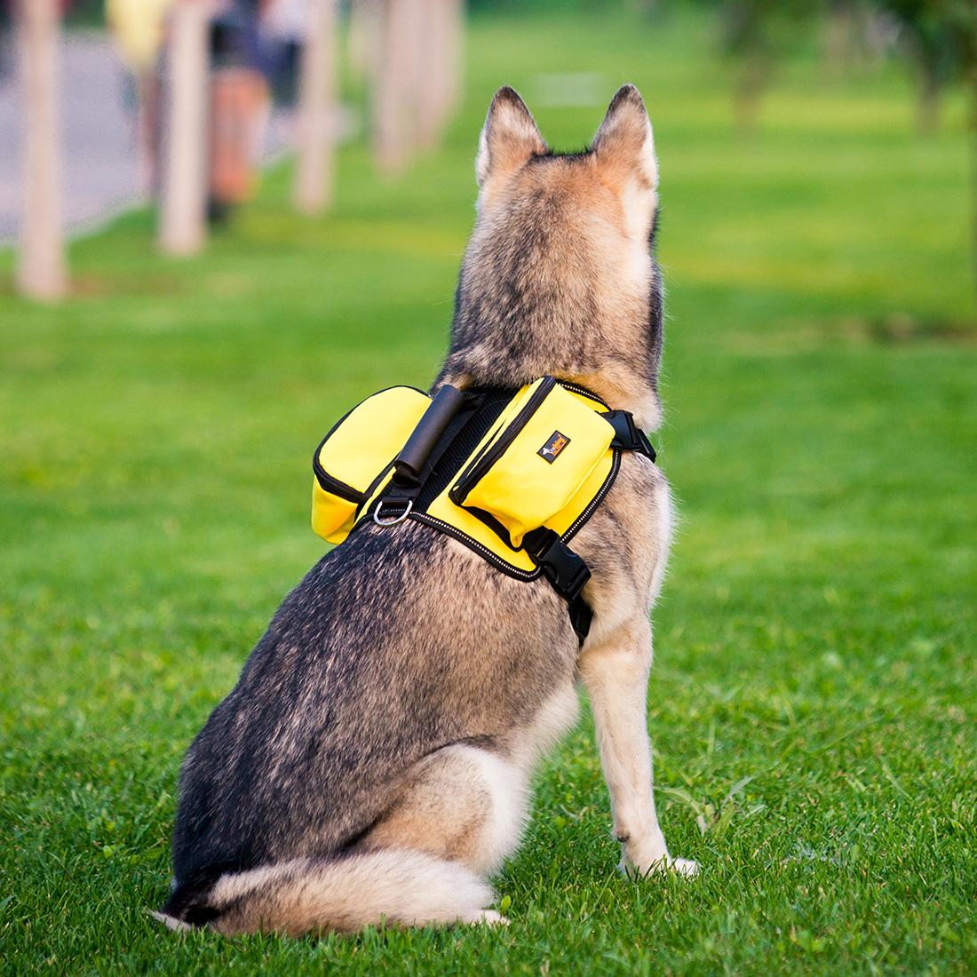 Haustier Hund Satteltaschen Pack hetzen Reise Camping Wandern Rucksack Sattel Tasche für Mittel groß Hunde