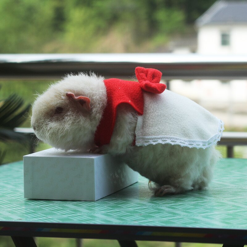 Streifenhörnchen Kleidung Streifenhörnchen Kleidung Hamster Kleidung Mini Hütte Kleine Hamster Winter Handgemachte Wolle Kleidung: Weiß Rock