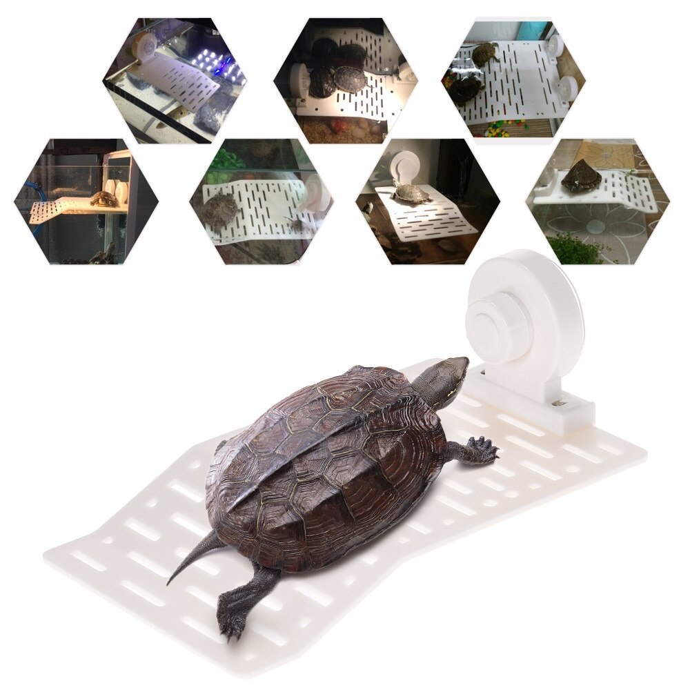 Dadypet akvarium tank skilpadde soler seg plattform Brygge flytende amfibie skilpadde brygge topper såle seg øy terrasse