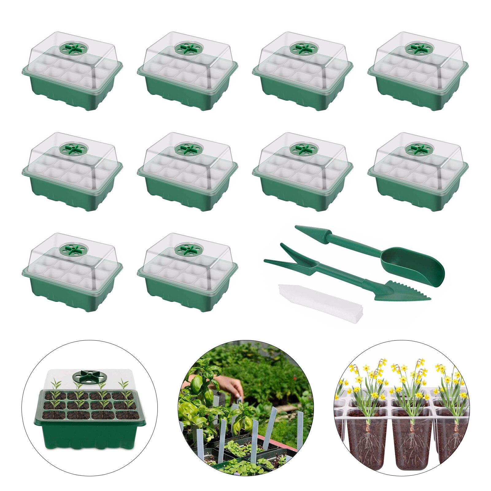 12Hole Nursery Pots Planting Seed Tray Kit Plant Germination Box Seedling Tray Grow Box for Gardening Supplies: Green