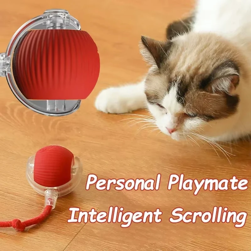 Jouet roulant automatique Rechargeable pour chat, boule intelligente interactive avec chargement USB, jouet électrique mobile pour animaux de compagnie, jeu d'intérieur pour chats/chiens