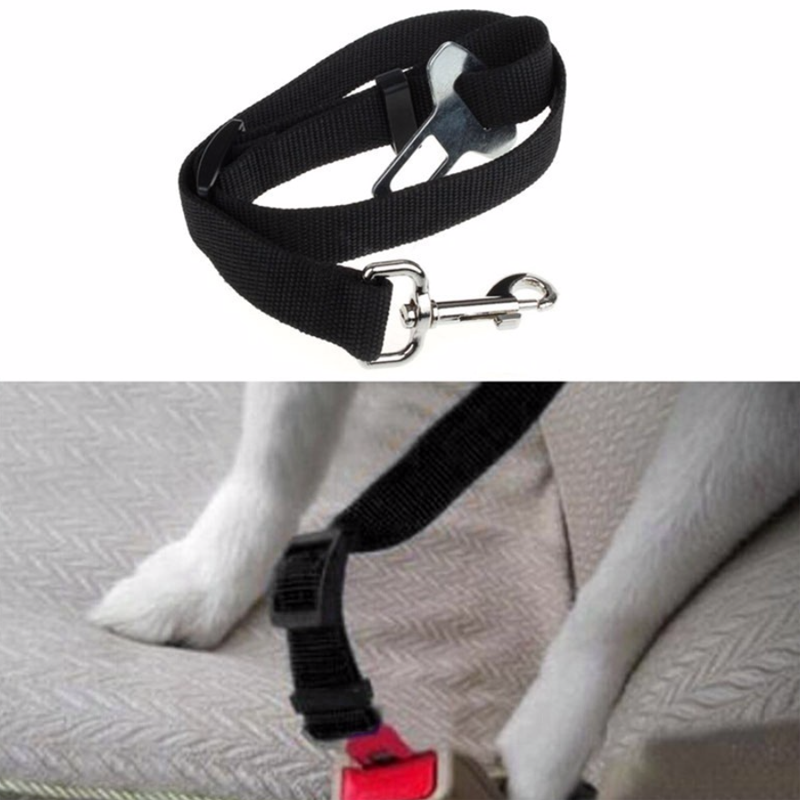 Kæledyrs sikkerhedssele nylon, der kan trækkes tilbage, sikkerhedssnor kæledyrsbånd hundekattsæde blybåndsele