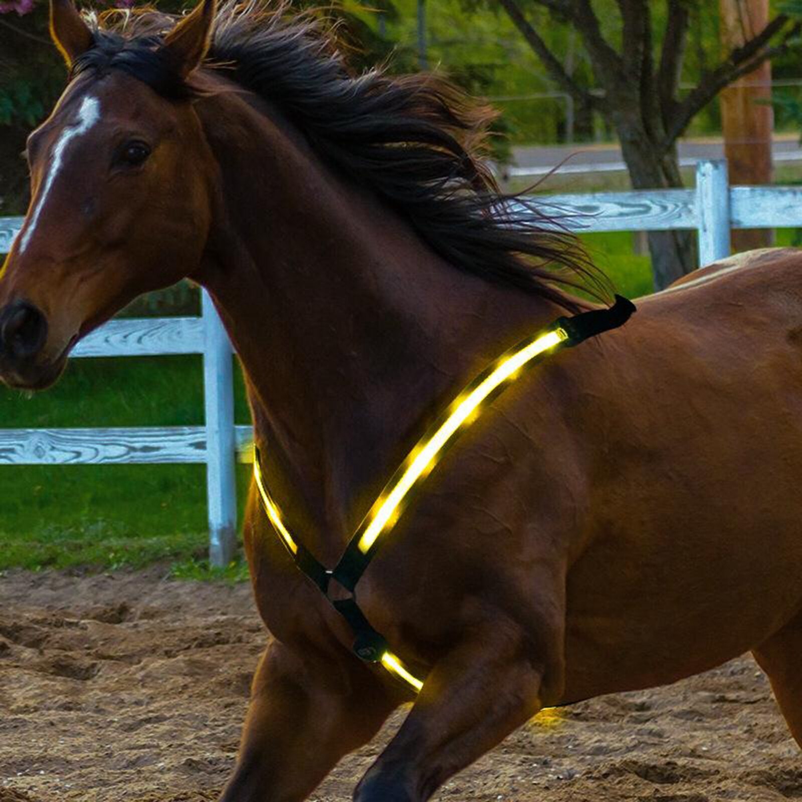 Hi Viz Horse LED Breastplate Collar Halter Harness Adjustable Reflective Equestrian Breastplate Collar Strap
