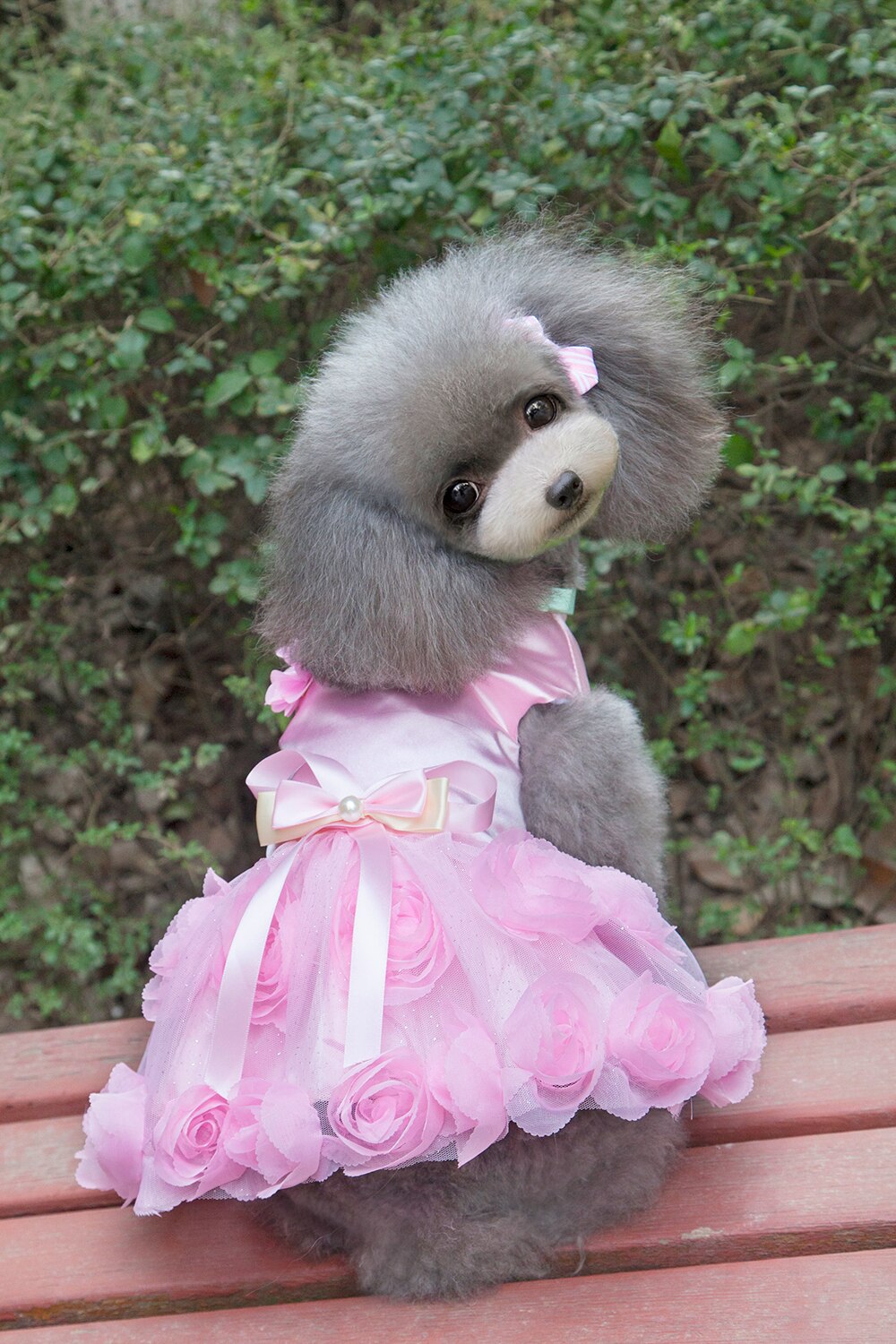 Vestido de princesa para perros pequeños, ropa de primavera y verano con de rosa, para mascotas