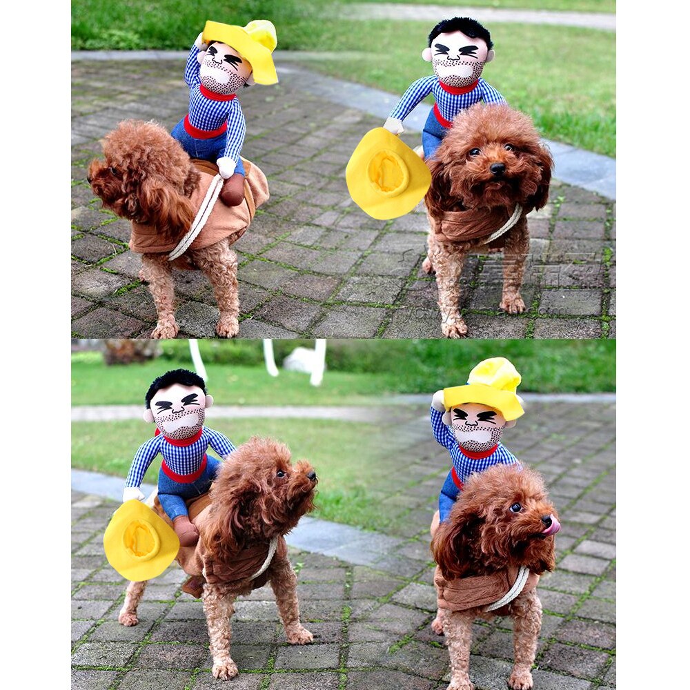 Hundkläder katt tillbehör för husdjur ridutrustning klänning halloween rolig liten medelstor hund trikå kappa kläder rollspel