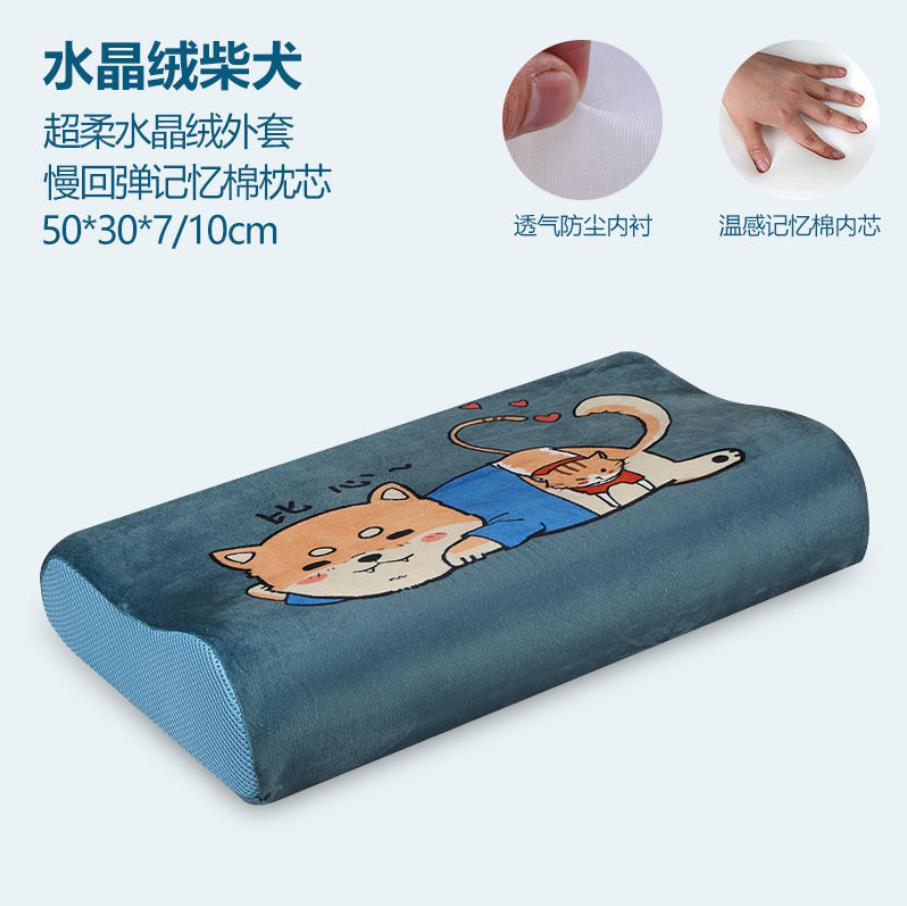 Memory Foam Bed Orthopedisch Kussen Voor Nekpijn Slapen Gezondheid Met Geborduurde Fijne Fluwelen Kussensloop Thuis 60*30Cm top F0436: 14