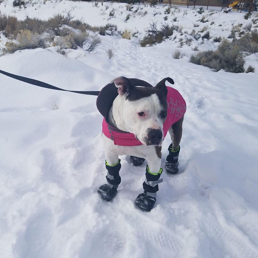 100% wasserdichte Große Hund Schuhe mit Gummi Sohle Winter draussen Schnee Stiefel Naht Abdichtung Regen Jack Stiefel Mittel groß Hund schuhe