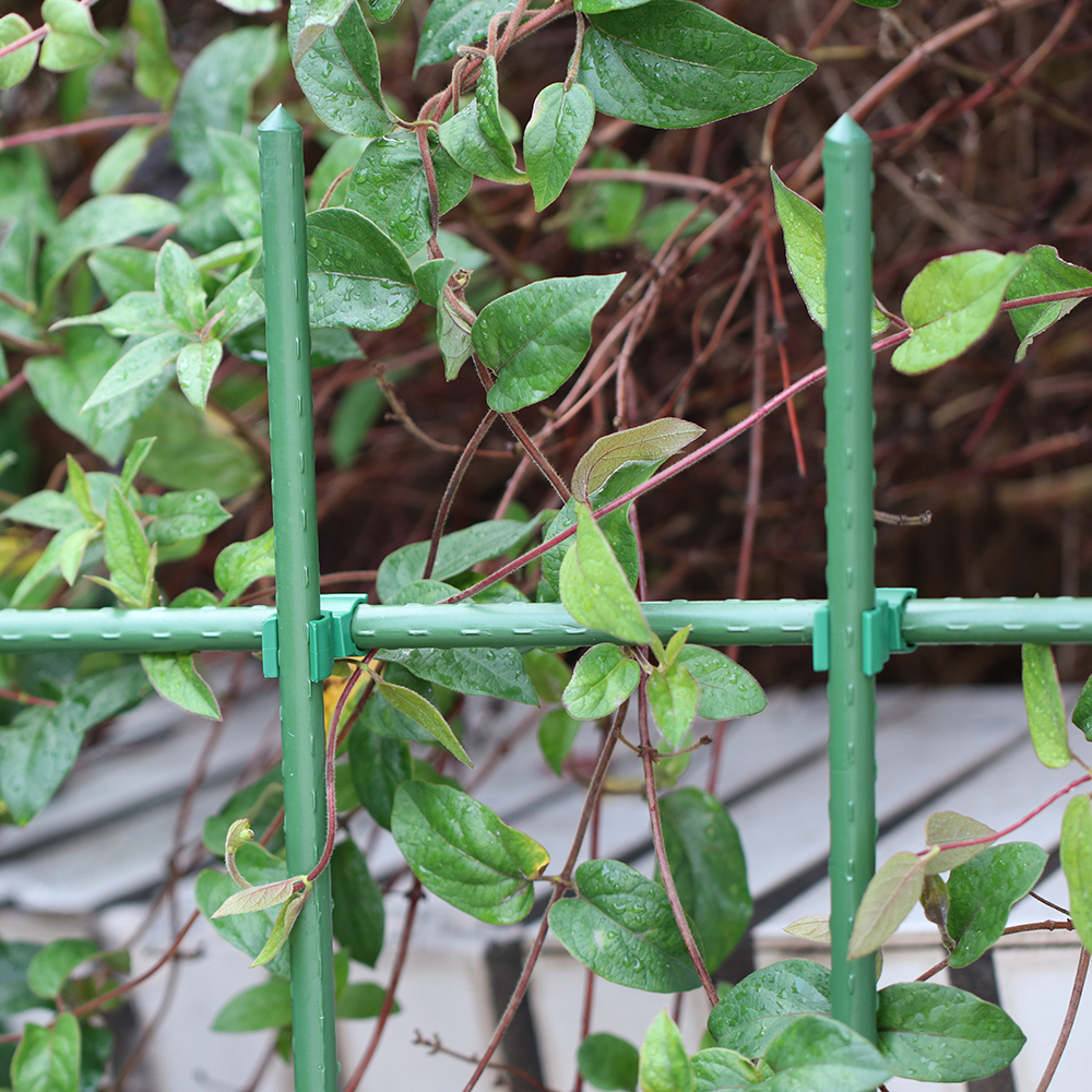 Attache en plastique 8-20mm, 15 pièces, Clip croisé de jardin pour tige de Support de plante, boucle réglable ou fixe, pince de connecteur de piquet de treillis