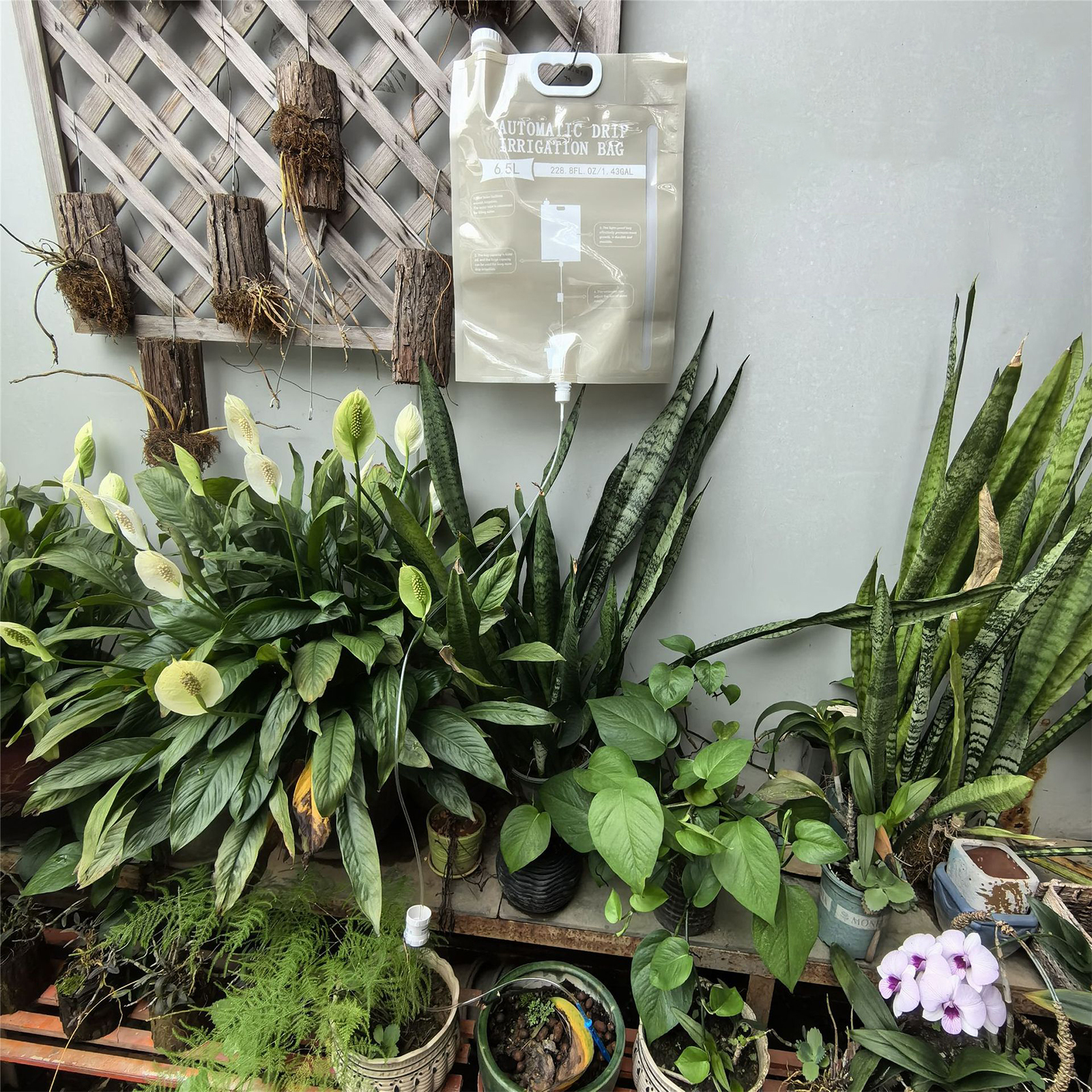 6.5l Plant Druppelirrigatiezak Automatische Gieter Druppelaar Plant Bewatering Kit Voor Potplant Water Verstelbare Regelklep