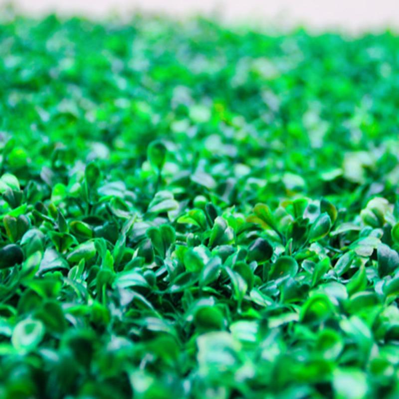 Ornament Plant Aquarium Gazon Landschap Decoratie Kunstmatige Decoraties Kunstplanten Groen Gras Plastic Aquarium