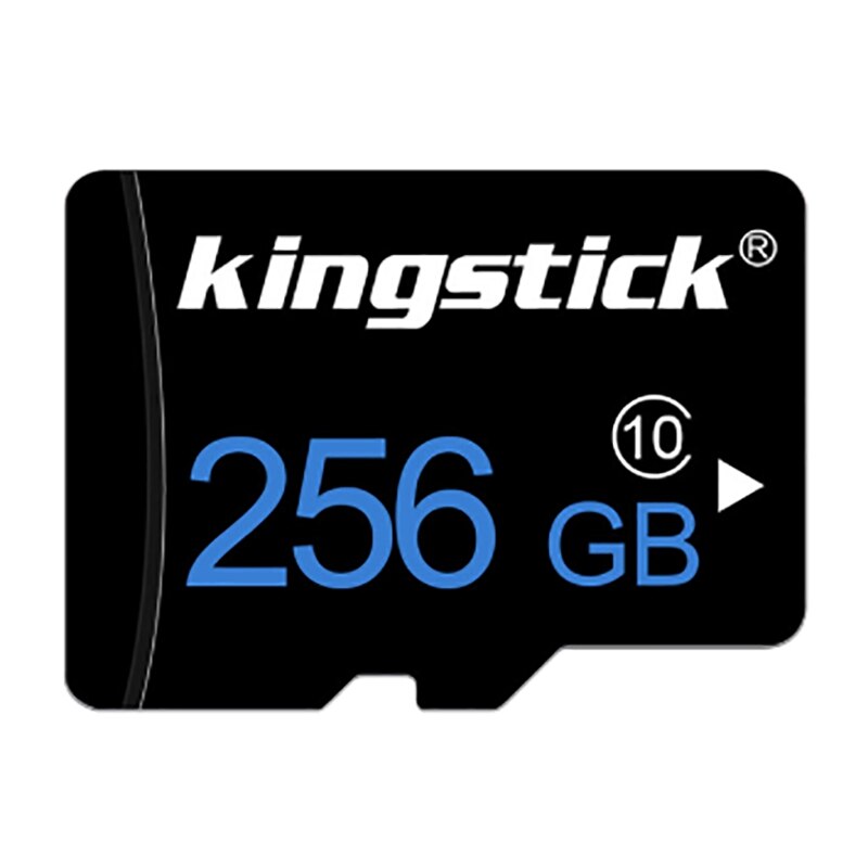 Kingstick Microfoon Geheugenkaart Klasse 10 256Gb Tf-kaart Flash Memorymicrophone Kaart Met Adapter