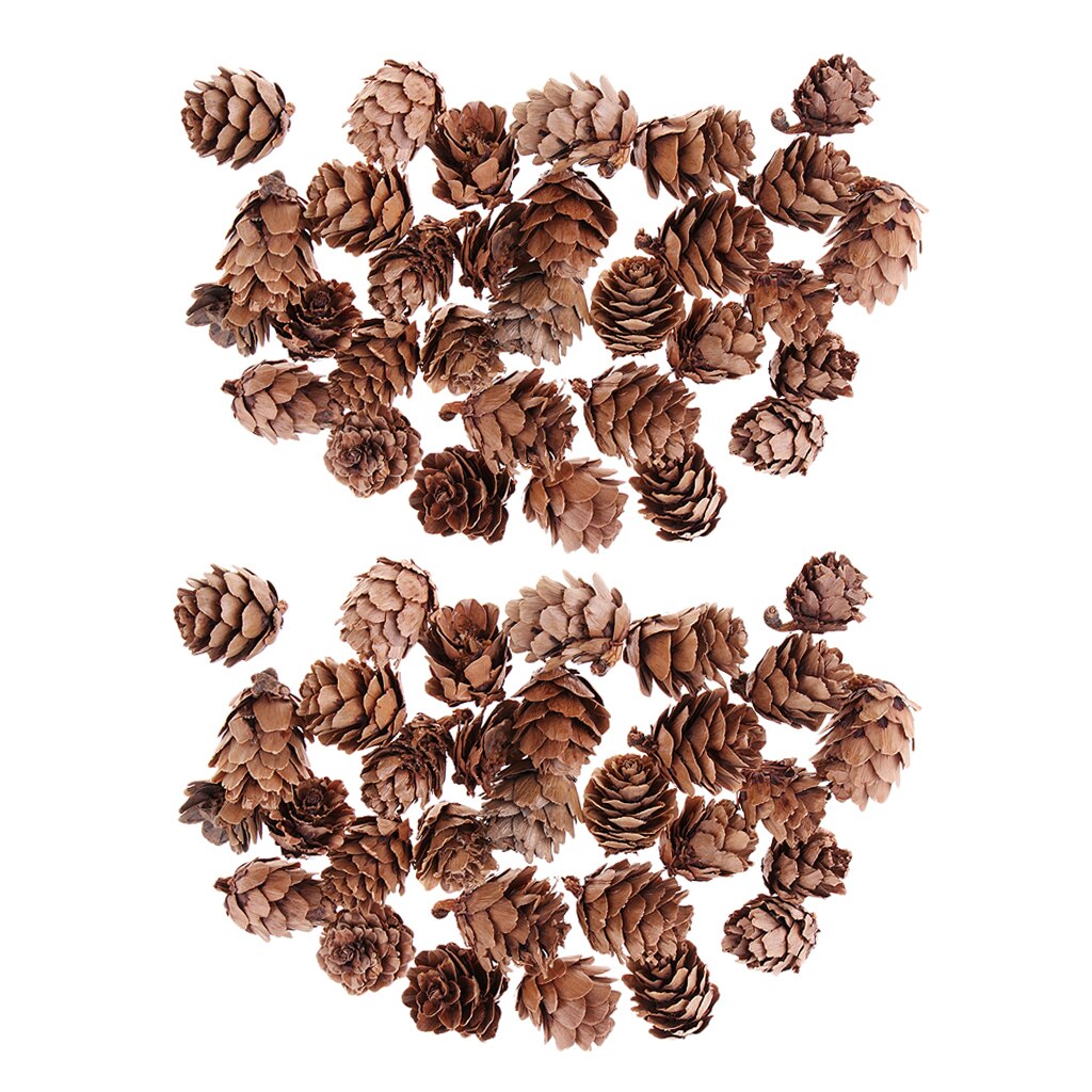 60x Mini Small Decorative Pine Cones for Home Party Ornament DIY Decorations