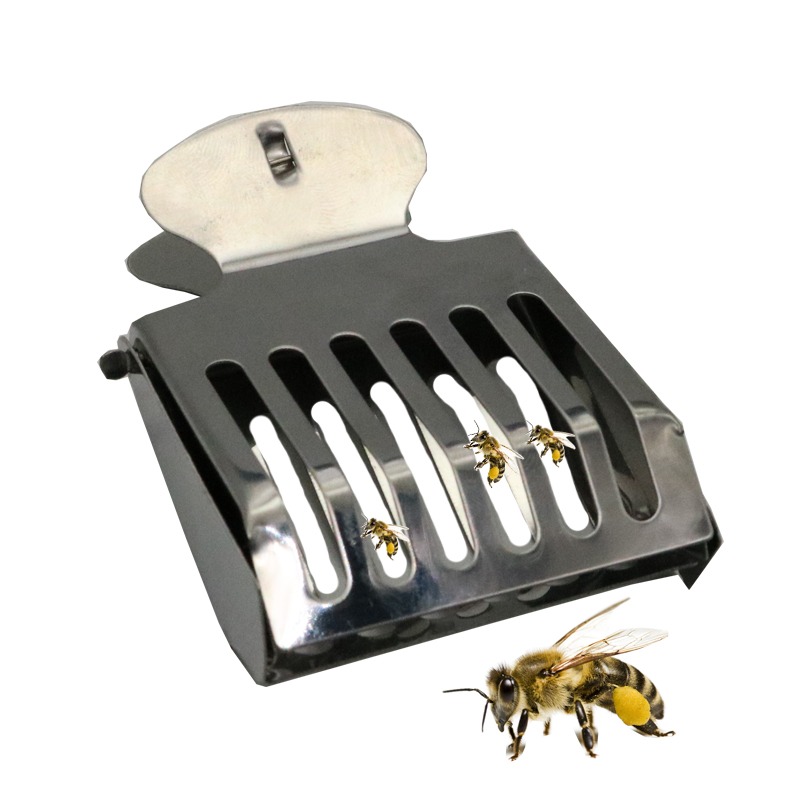 Pinzas de acero inoxidable para la cría de abejas, equipo de apicultor, 10 piezas