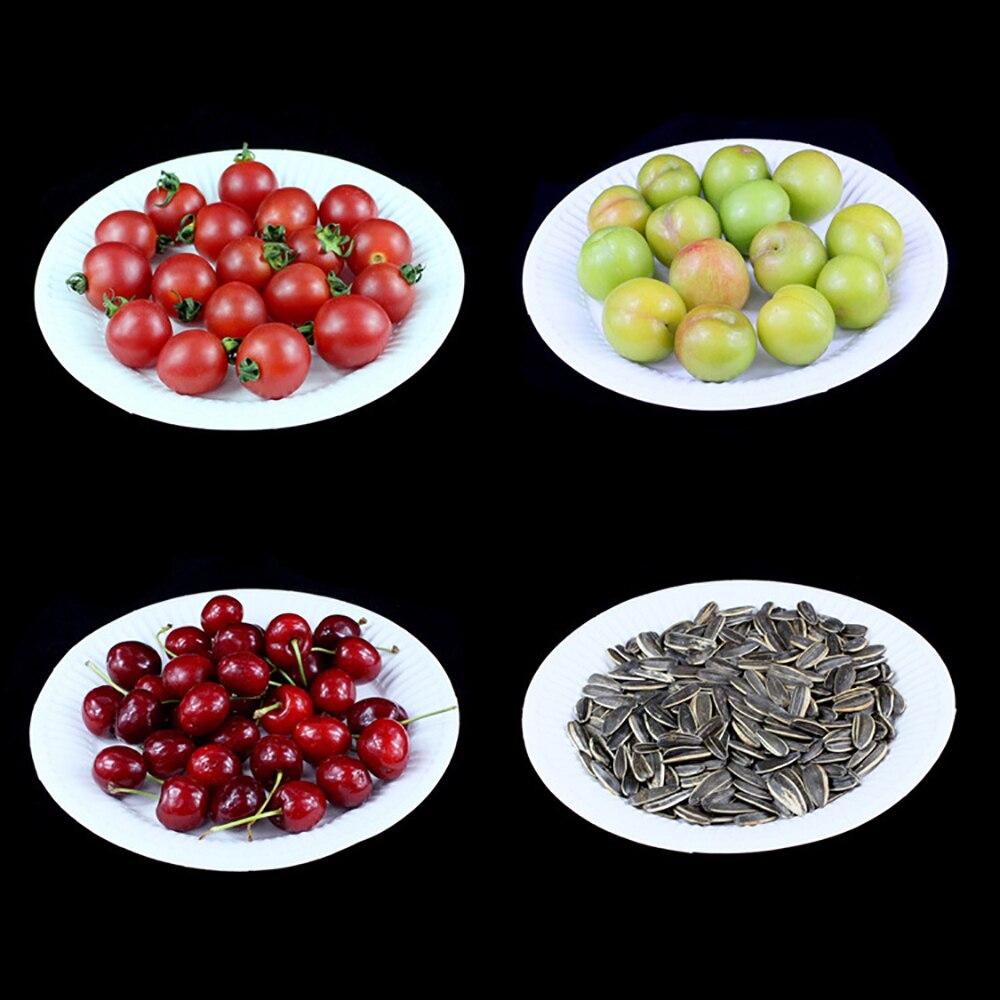 100PCS Disposable Plate 100% Compostable White Paper Plate Round Cake Plate for Party/Camping