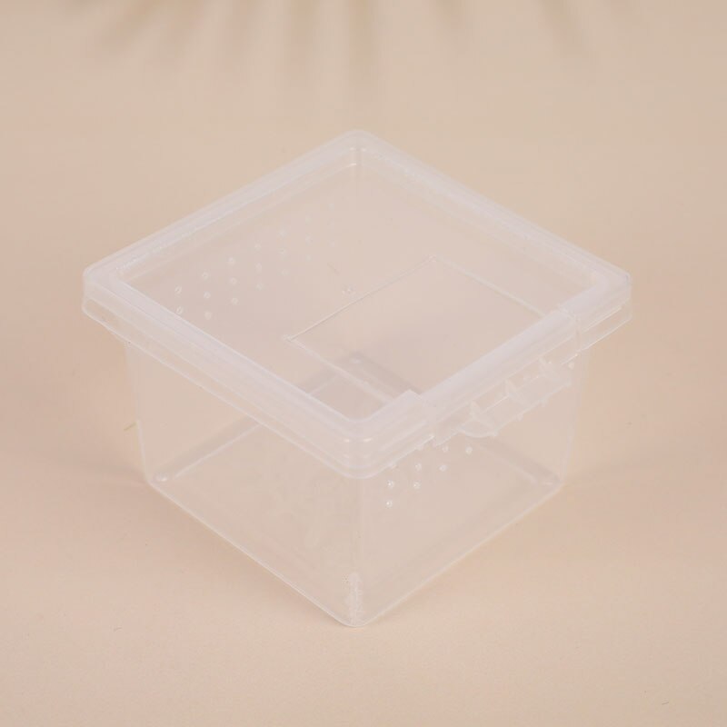 Caja de alimentación para Terrario de lagartos, jaula para reptil, contenedor para incubar, contenedor de cría para Terrario de lagartos, Araña, insecto escarabajo, casa, 1 ud.