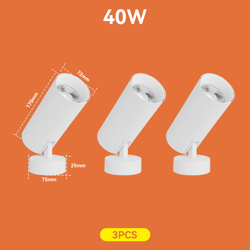 LED-Spot Down light LED-Scheinwerfer faltbar 220V 40W für Wohnzimmer Leuchte Decken leuchte für zu Hause Küche Innen schlafzimmer: L / green