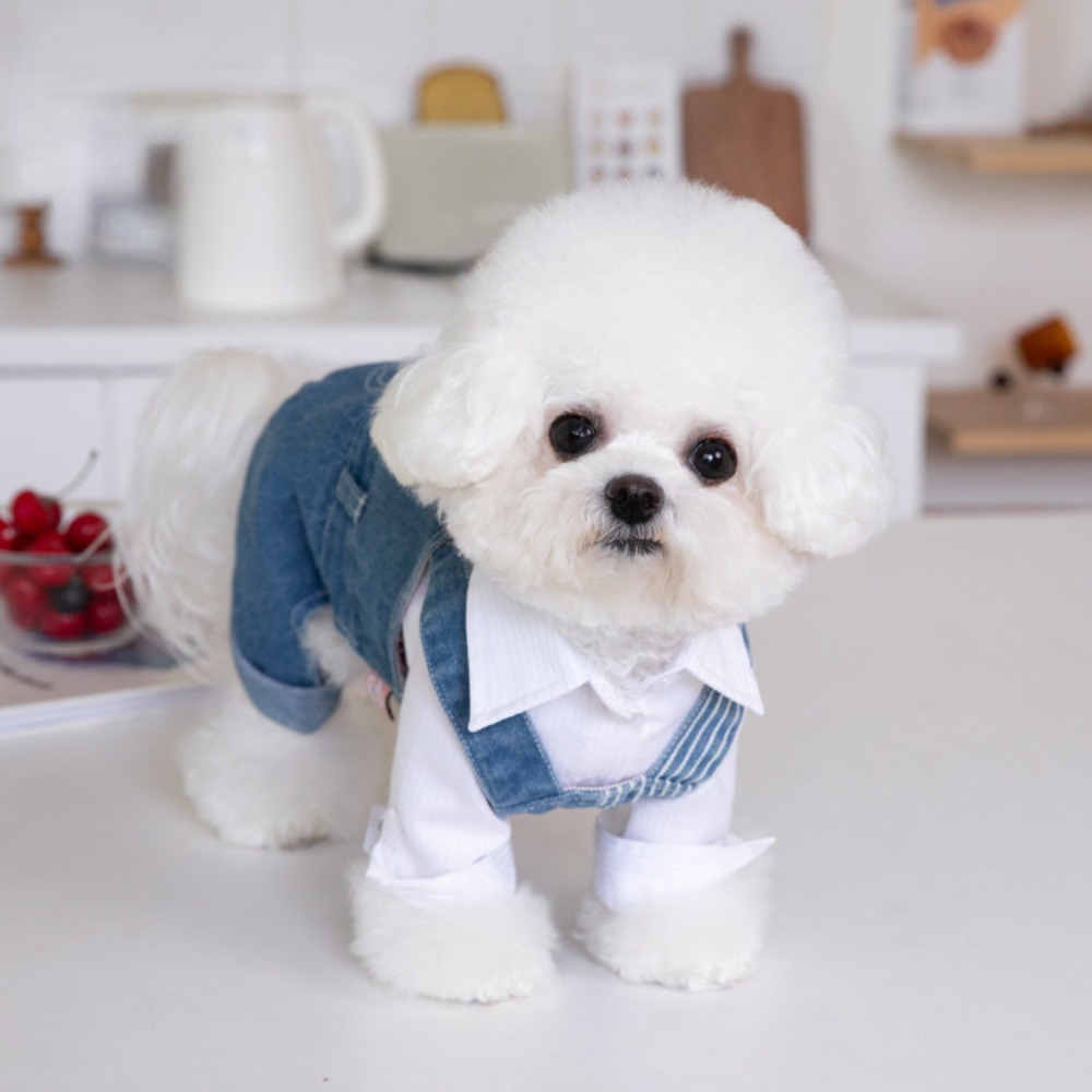 Huisdier Herfst Winter Gestreept Patchwork Denim Bandjes Hond Broek Kat Kleding Teddy Hondenkleding Huisdieren Puppykleding Jongen Hondenkleding