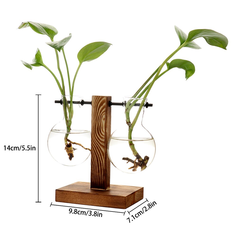 Rahmen Glas Vase Terrarium Hydrokultur Liefert Ornamente Dekoration Tabletop Pflanzen Hause Bonsai Zubehör Terrarium Vasen: C