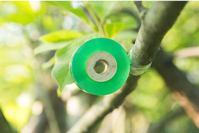 Cinta elástica autoadhesiva de 100M para injertos, película para injertos, herramienta especial para Injerto de árboles frutales, cinta de unión para jardín
