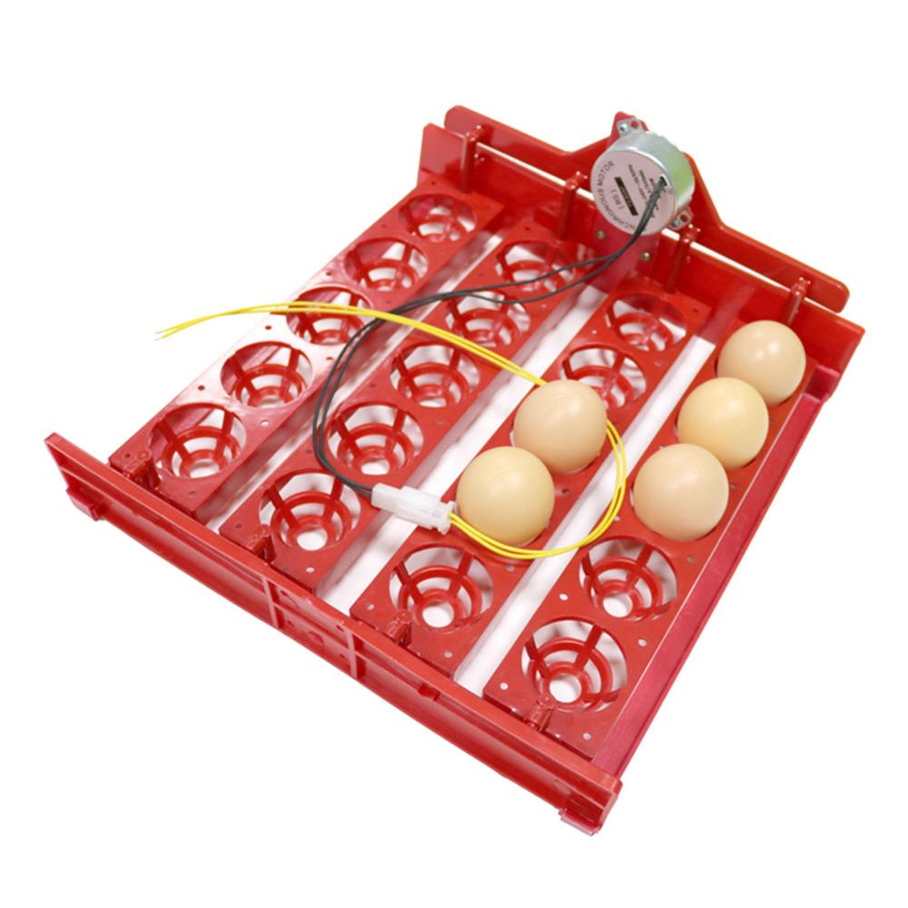 Incubadora de 20 huevos, bandeja giratoria para huevos, pollo, pájaro, pato, ganso, paloma, codorniz, incubadora automática, equipo incubadora de aves de corral y animales de granja