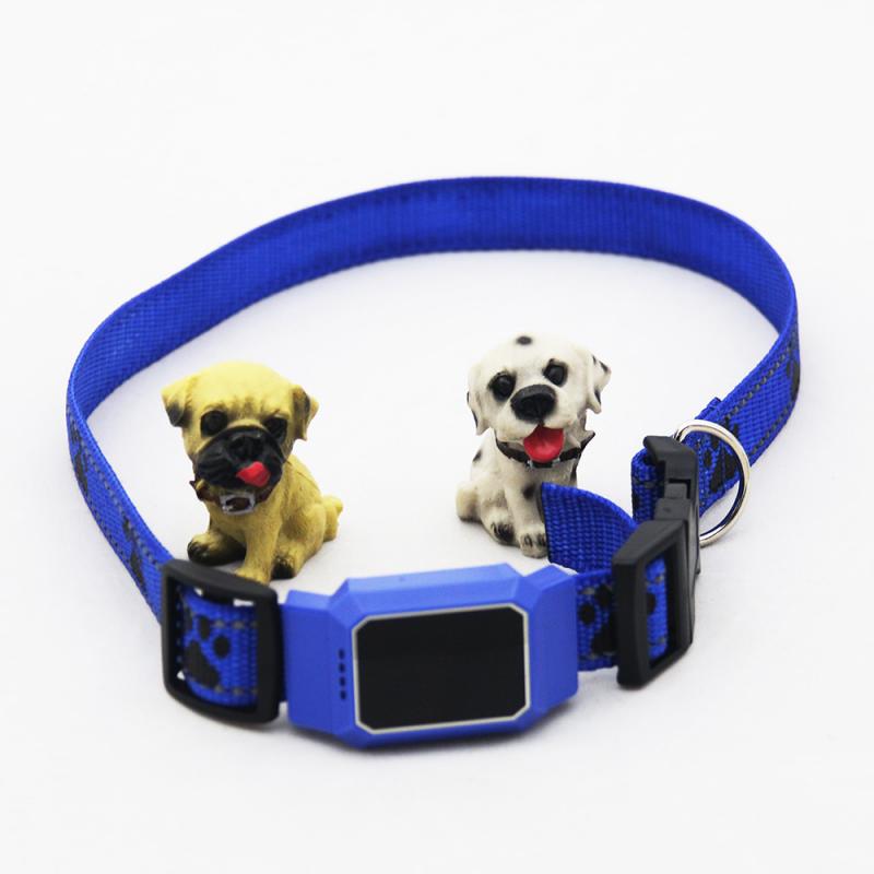 Localizzatore GPS Per Cani E Gatti – Tracciamento Globale Senza Abbonamento, Batteria Fino A 30 Giorni, Leggero 25g E Impermeabile IP67