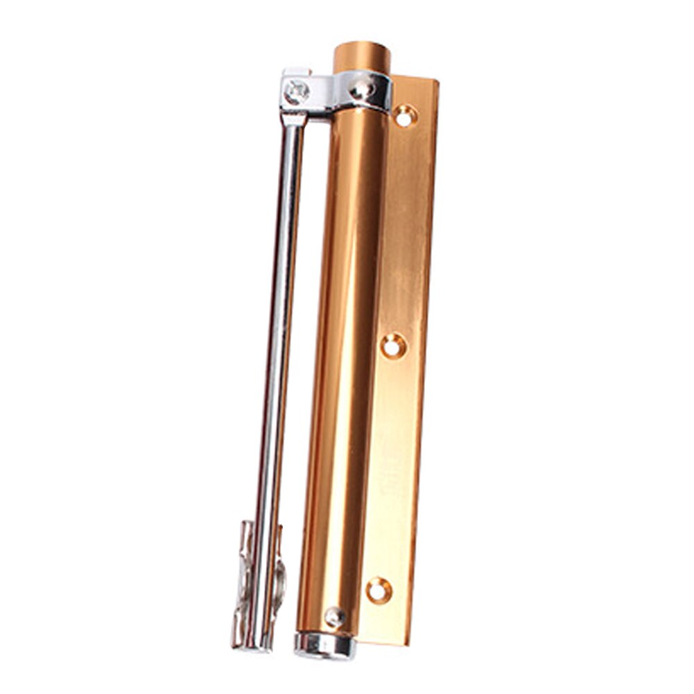 Puerta automática económica bisagra de cierre automático silenciosa fácil de volver a atar sin ranurar punzonado puerta sin cerrar casa ds99: champagne