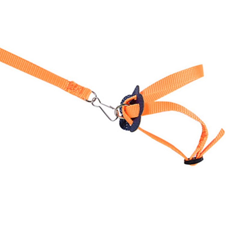 Harnais d'entraînement pour oiseaux, laisse pour oiseaux, réglable en plein air, corde, produits pour animaux de compagnie, entraînement, perroquet coloré, fournitures pour oiseaux: Orange