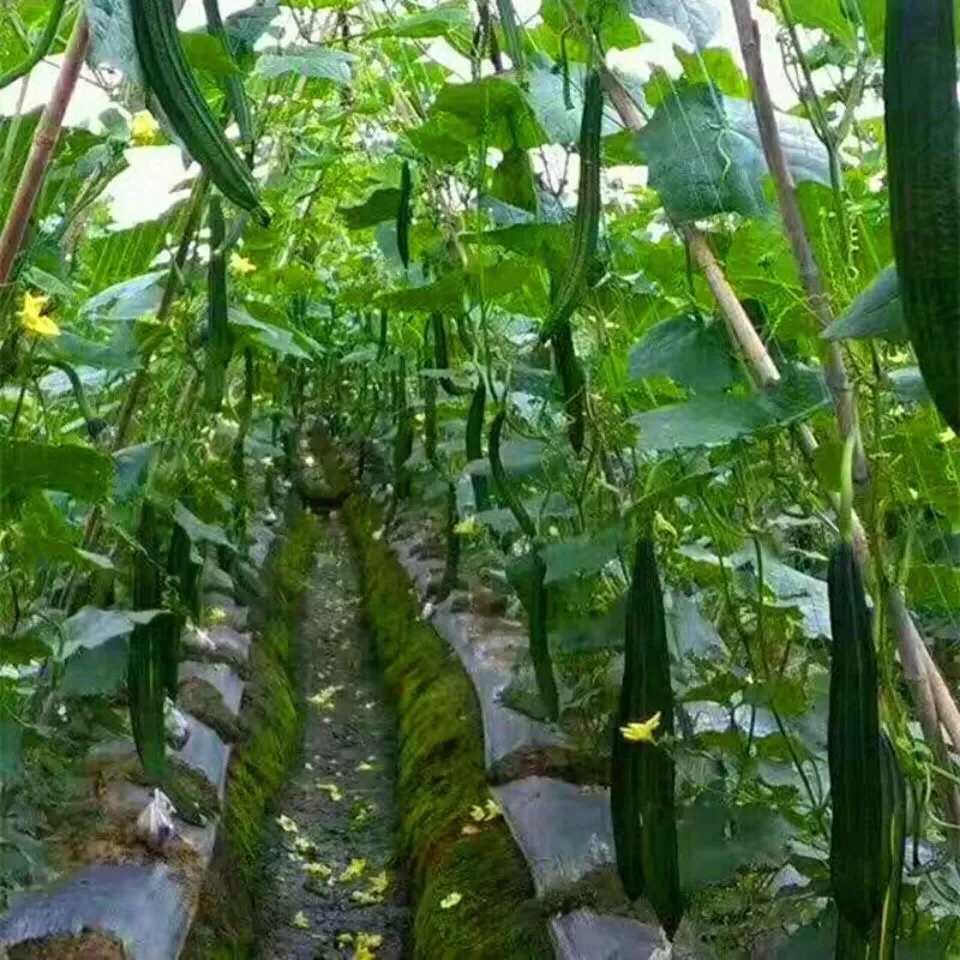 Garden Climbing Net Trellis Netting Heavy-Duty Plant Support Stand for Flowers Vegetable Vine Orchard Gardening Tools