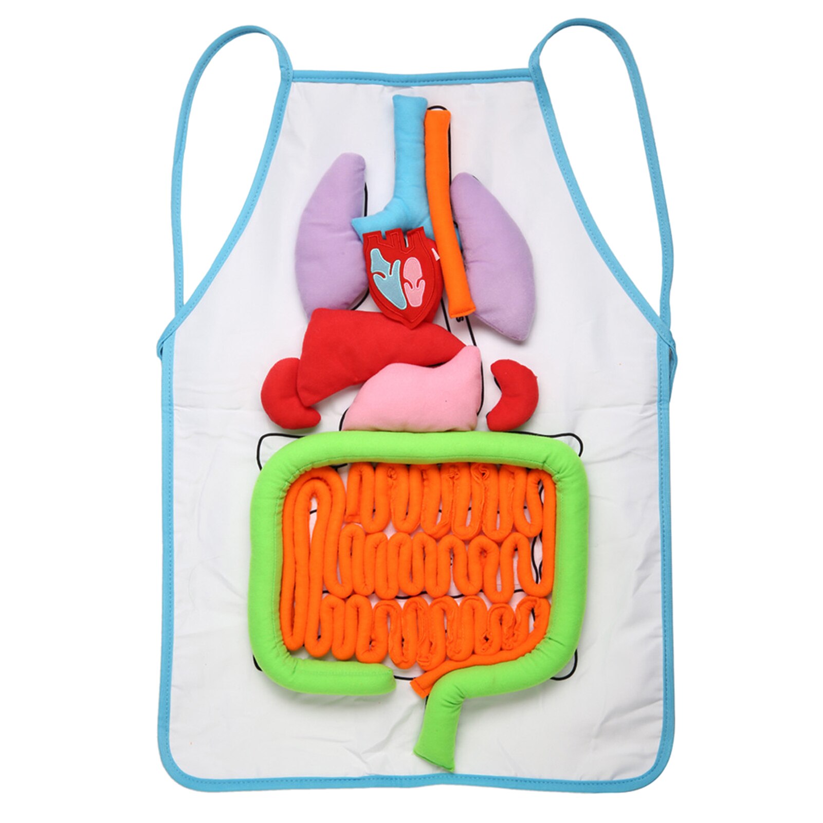 Anatomia fartuch ludzkie ciało organ narzędzie edukacyjne dzieci przedszkole pomoc dydaktyczna