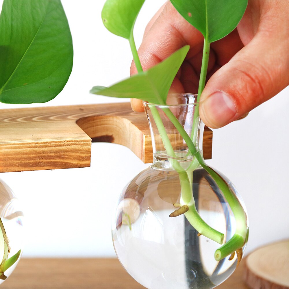 Træramme glasvase cricle form hydroponisk plante vase vintage blomsterpotte bord desktop bonsai blomstervase boligindretning