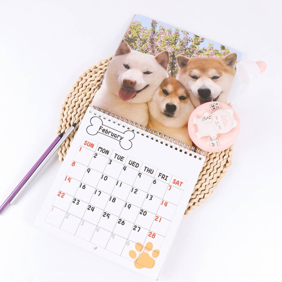2026 hondenkalender - Jaar Maandelijkse Planner & Agenda Schema Organisator Wandkalender Decoratie Grappige feestcadeaus voor vrienden