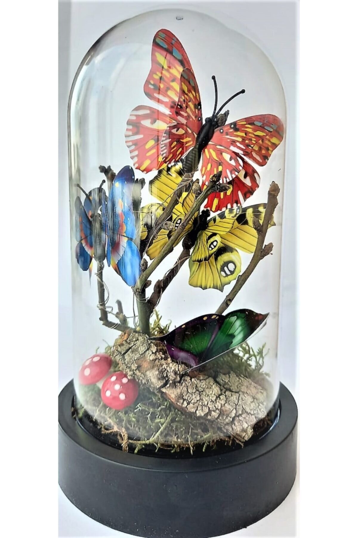 Vase lumineux avec papillon, spécial, décoratif