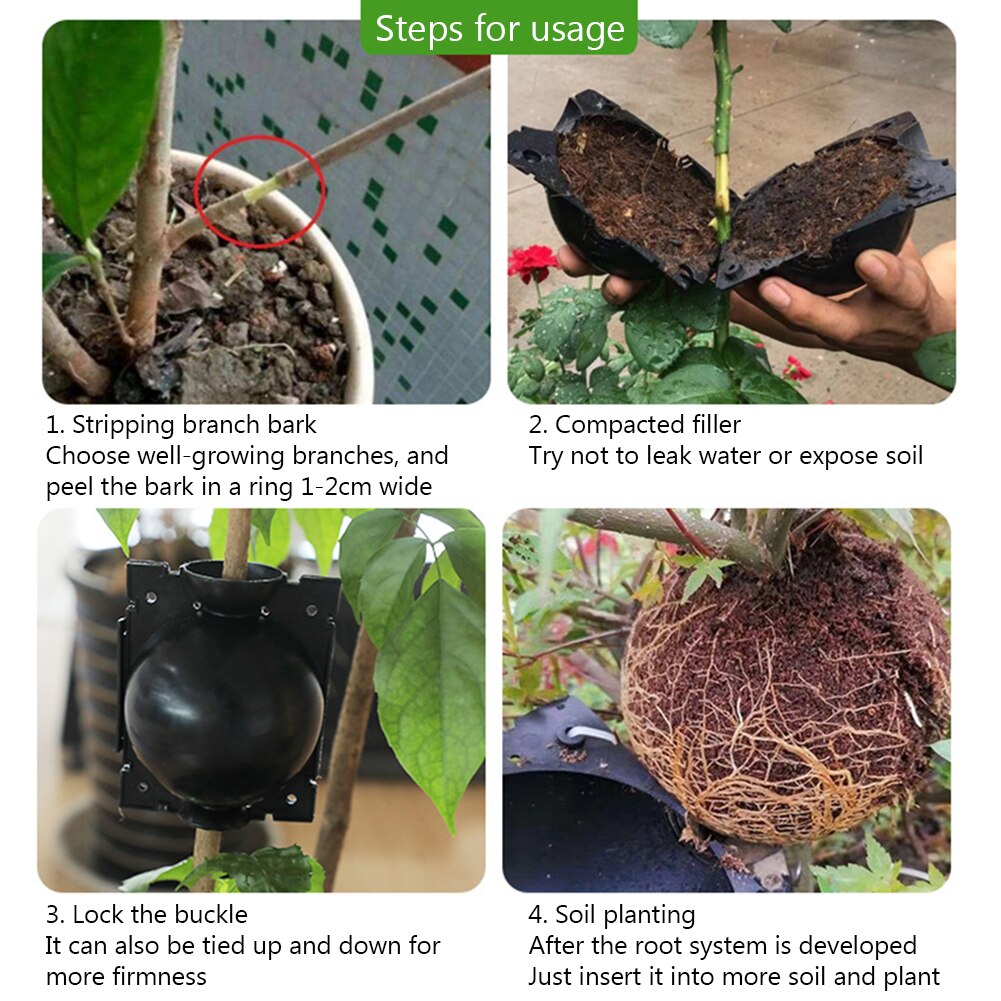 5Pcs Root Growing Box Breeding 5/8cm Case Plant Root Box Garden Pressure Propagator For Garden In Diameter Grafting Rooting