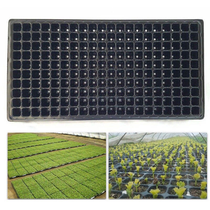 200 Cell Seedling Starter Tray Seed Germination Plant Propagation