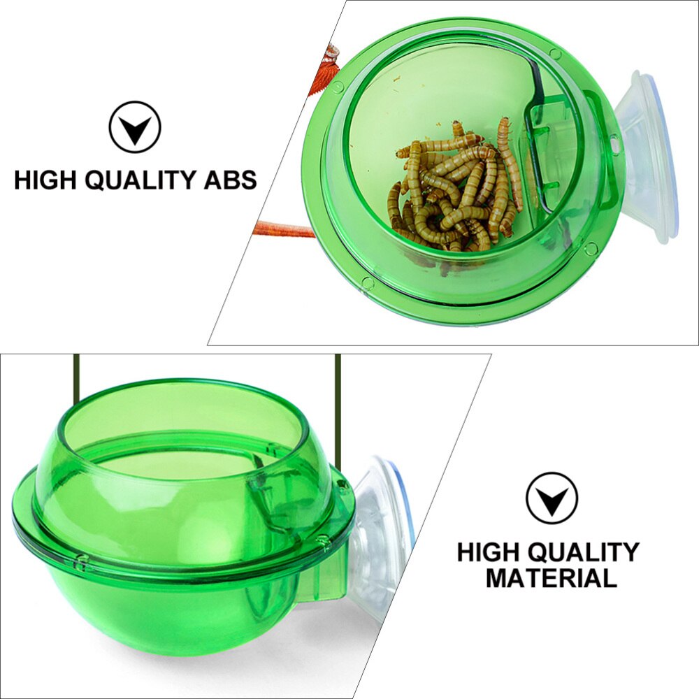 4Pcs Reptile Feeder with Suction Cup Lizard Wall Hanging Feeder Anti-Escape Bowl