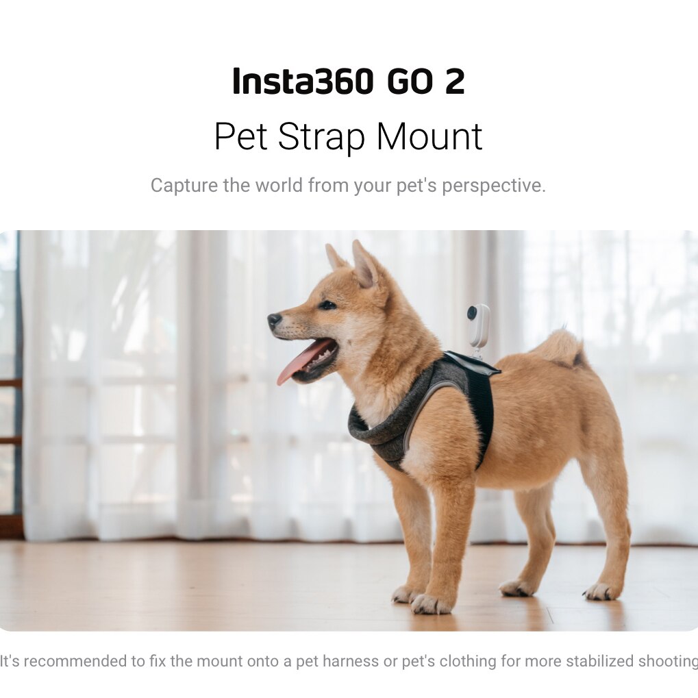 Insta360 GO 2 Pet Strap Mount Original Accessories for Insta 360 GO 2