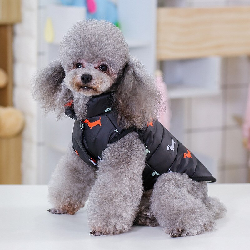 Manteau d&#39;hiver pour chien, vêtement pour petit gabarit, yorkshire, Chihuahua, bouledogue français, chiot