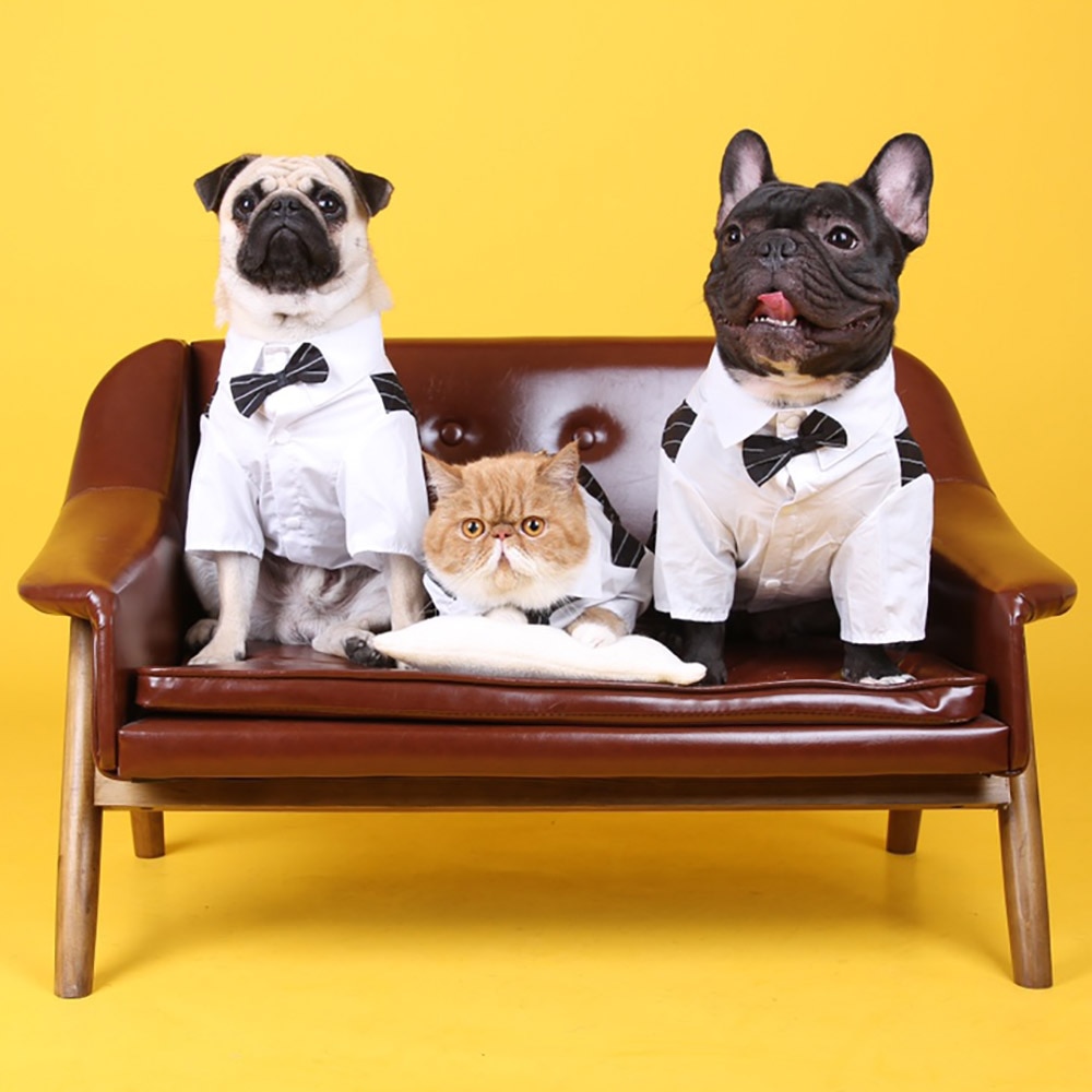 Gentleman Hond Kleding Trouwpak Formele Shirt Voor Kleine Honden Bowtie Tuxedo Pet Outfit Halloween Kerst Kostuum Voor Katten