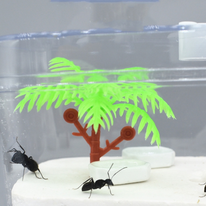 K5DC Ant Farm Clear Plastic Box Ant Plaster Home for Kids Study of Ant Behavior Ant Nest Farm Educational Formicarium for Ant