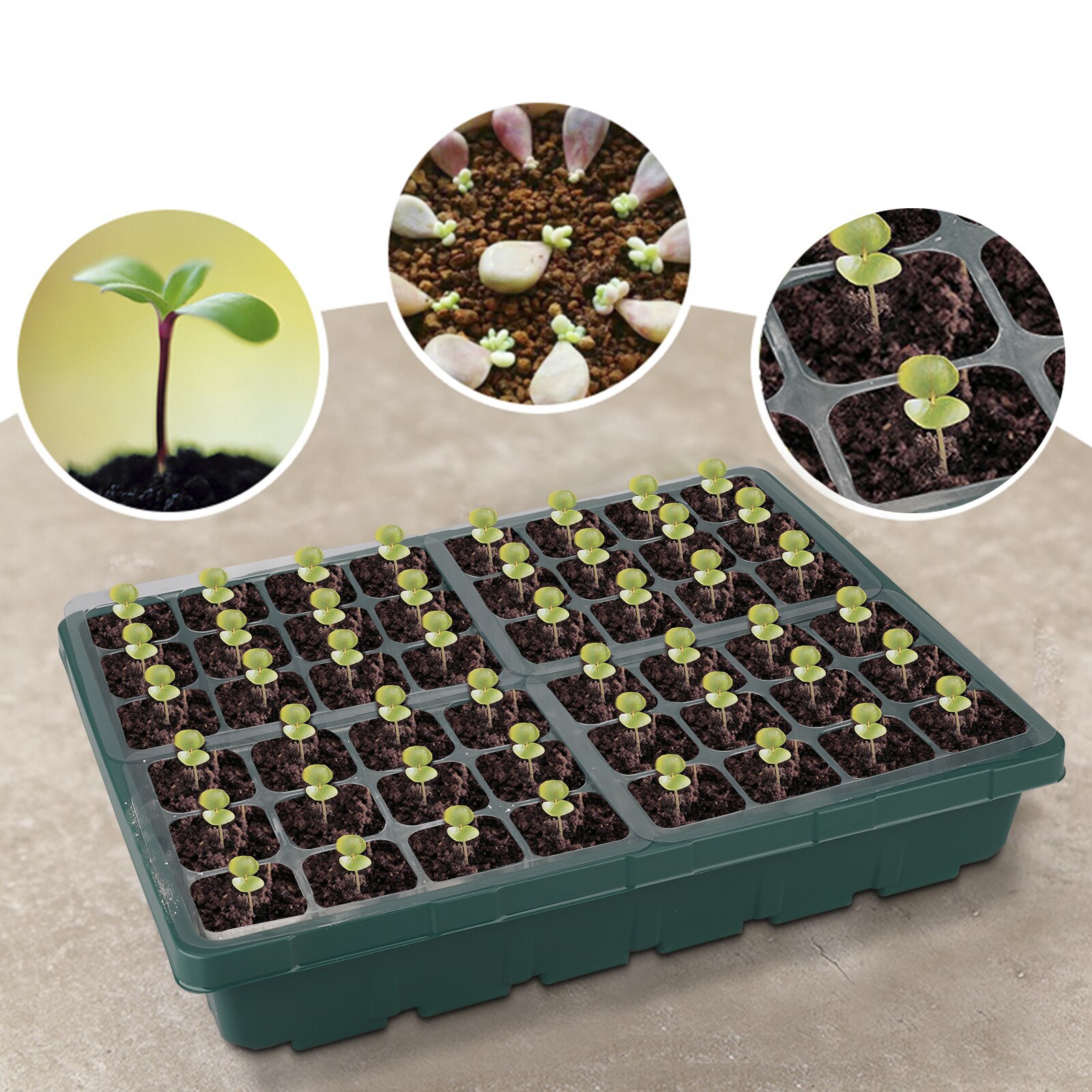 Macetas de vivero, proveedor de jardín orgánico, productos para el hogar, accesorios de herramientas, macetas de turba, suministro de invernadero, macetas de plántulas