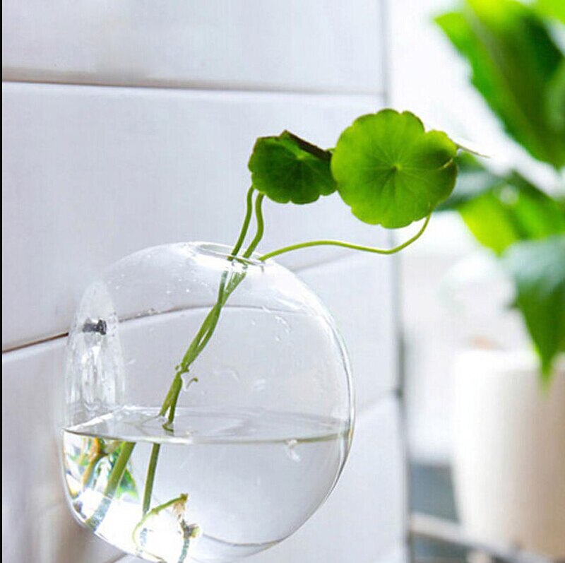 Hage forsyninger vegg blomsterpotte hengende glass ball vase blomsterplanter potter terrarium container dekorasjon: 12cm