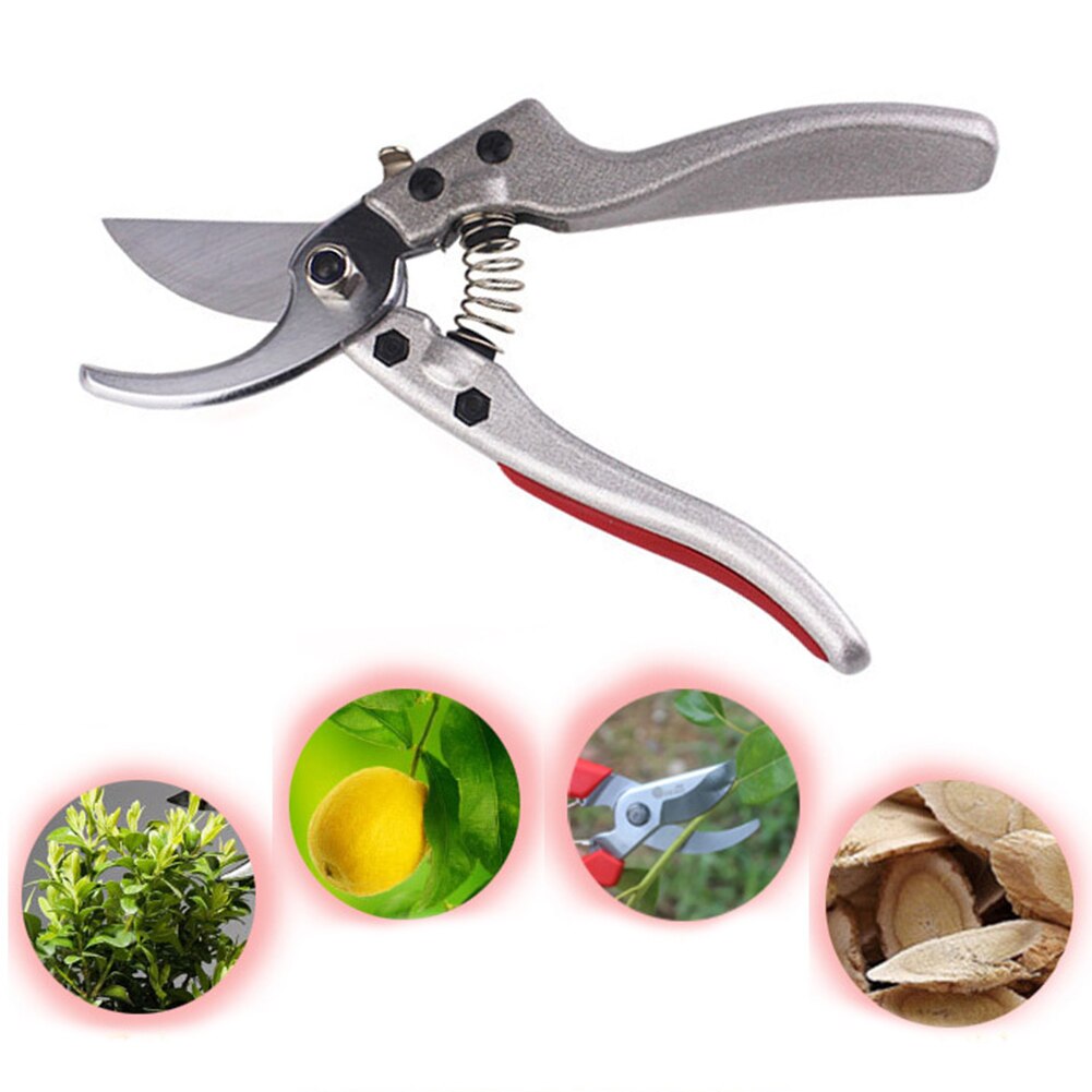 Plant Trim Tuin Schaar Snoeischaar Fruit Boom Boomgaard Snoeischaar Cutter Struik Tuin Schaar Tool