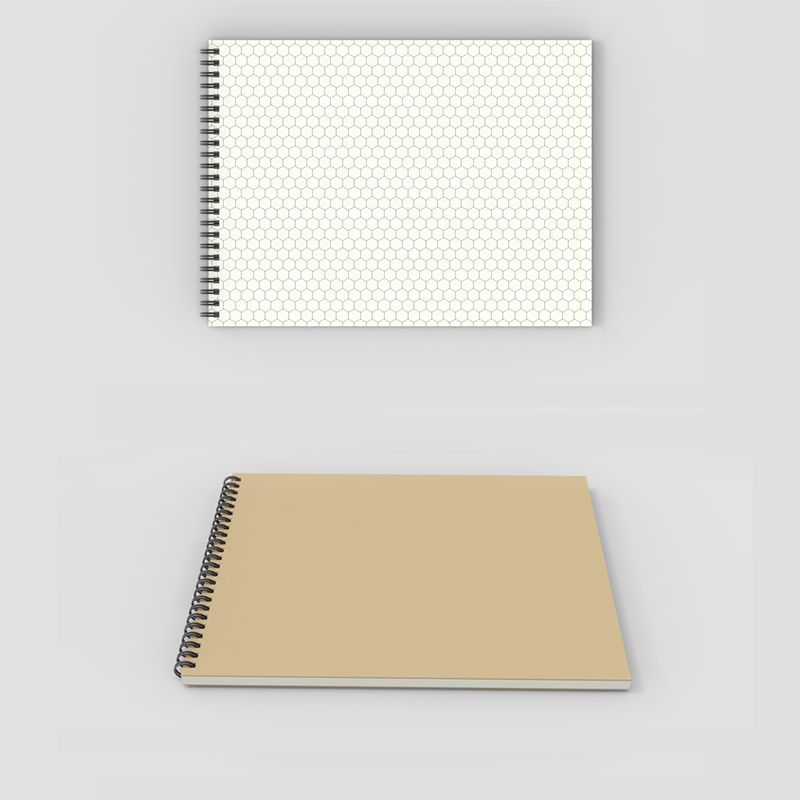 Hexagonal Graph Rule Paper Notebook for Organic and Bio Chemistry: Graph Notebooke Lab Book Graph and Lined Spiral Notebook