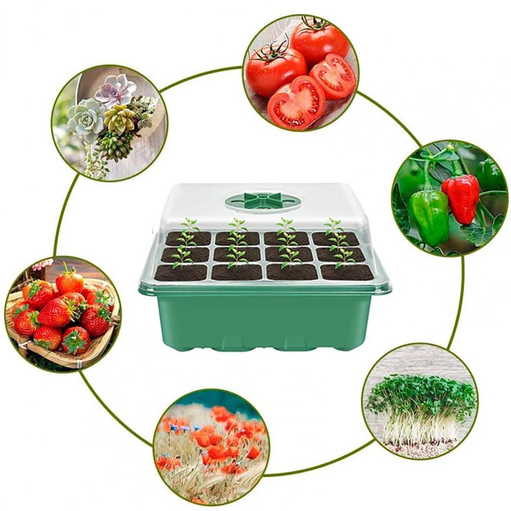 Propagator Soilless Cultivation Portable Plastic Humidity Adjustable Plant Training Box for Garden Accessories